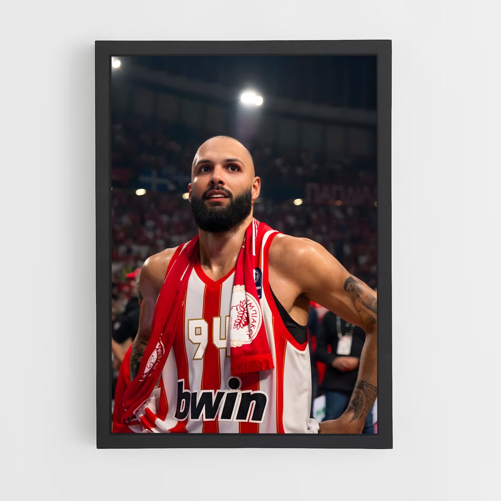 Poster Evan fournier – affiche Basketball (vue 2)